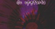 Mistrz kaligrafii