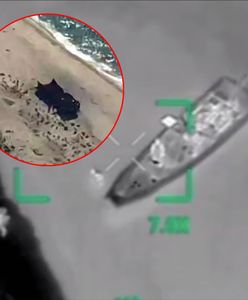 Ukraiński rajd na Kosę Tendrowską. Zniszczony DT-10 Witiaź