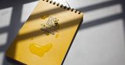 Papierowy notatnik, który nie boi się wody [wideo]