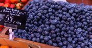 Są już pierwsze polskie borówki. Kilogram kosztuje 60 zł