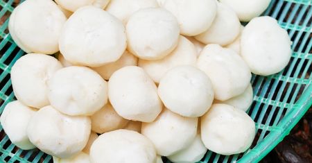 W Polsce mało znane. Gdy zobaczysz, kupuj bez wahania, są bezcenne dla wątroby i mózgu