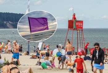 Nie tylko biała i czerwona. Co oznaczają inne kolory flag na plażach?