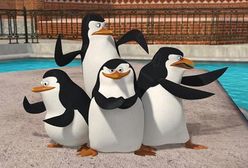 Zobacz cztery minuty "Pingwinów z Madagaskaru"