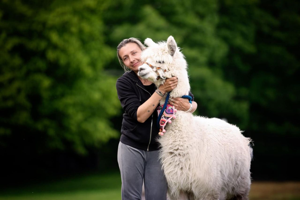 Basia prowadzi hotel dla psów. Karmi ich nawet schabowymi