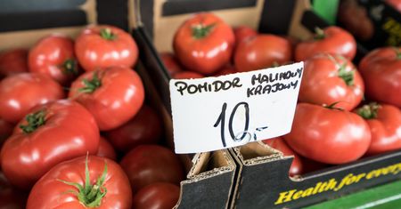 Warzywa horrendalnie drogie. Winny jest potrójny kryzys