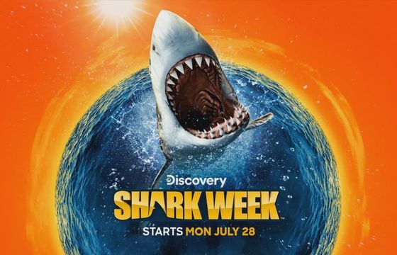 Rekiny zawładną anteną. Discovery Channel zaprasza na Shark Week 2025