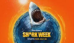 Rekiny zawładną anteną. Discovery Channel zaprasza na Shark Week 2025