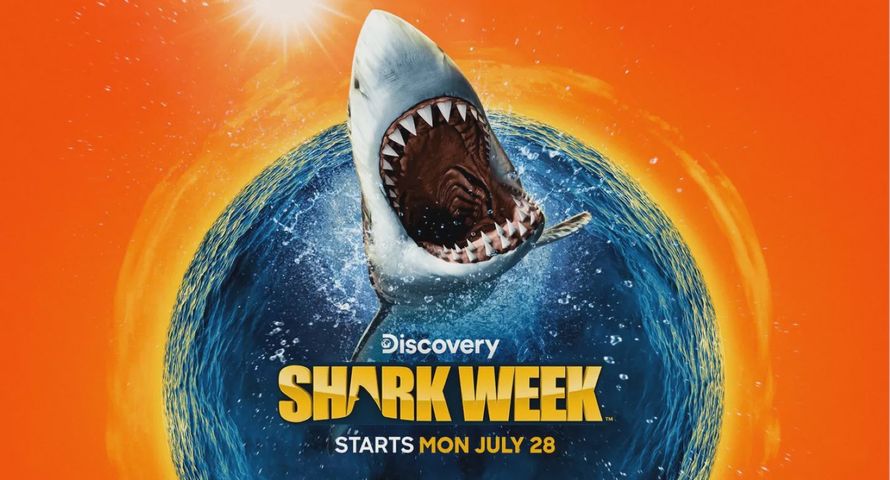 Rekiny zawładną anteną. Discovery Channel zaprasza na Shark Week 2025