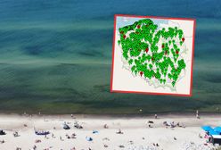Mapa sinic 2023. Czy kąpieliska nad Bałtykiem są otwarte?