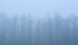 Pogoda na niedzielę. Polska spowita mgłami i niskim zachmurzeniem