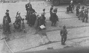 Przeleżały w ukryciu 80 lat. Sensacyjne odkrycie po latach