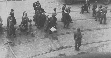 Przeleżały w ukryciu 80 lat. Sensacyjne odkrycie po latach