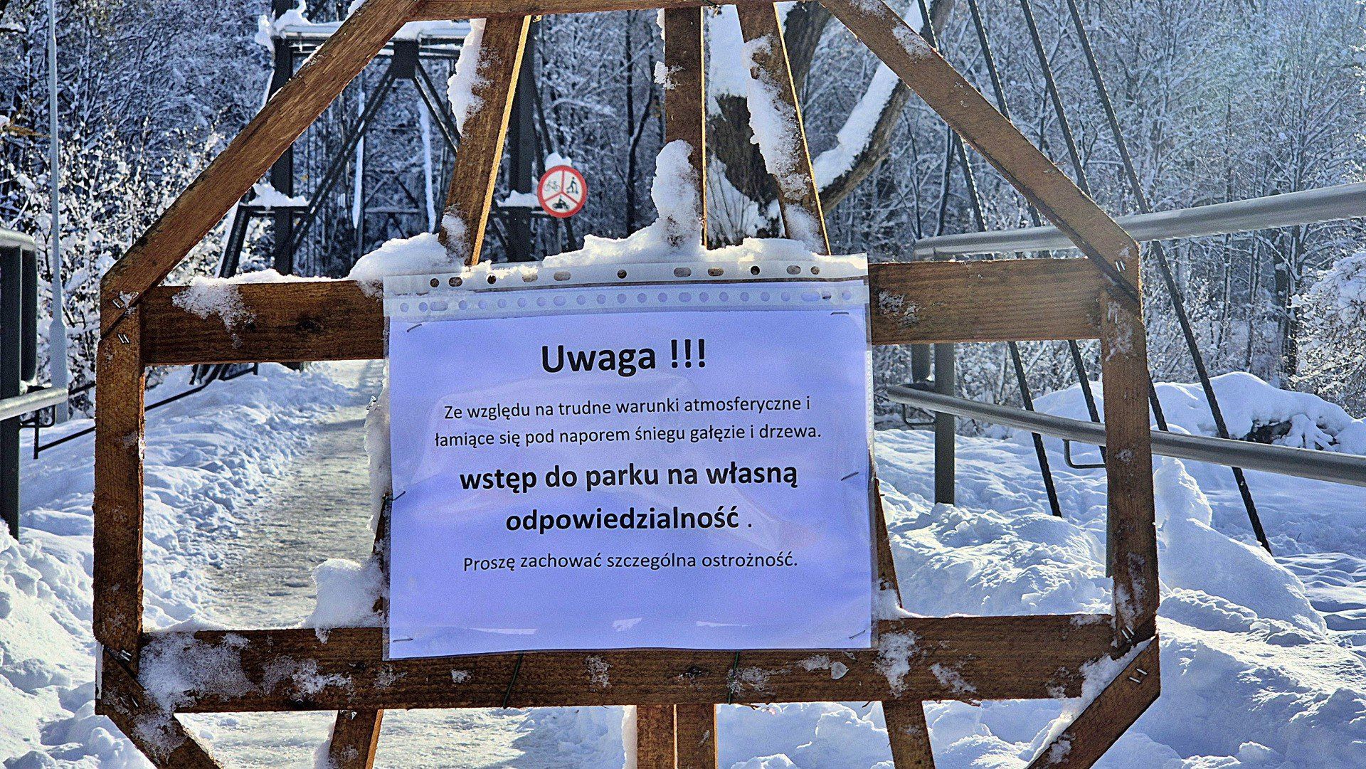 Powalone drzewa blokują ścieżki po intensywnej śnieżycy