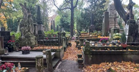 Coraz częstszy widok na cmentarzu. Możemy się spodziewać interwencji administracji