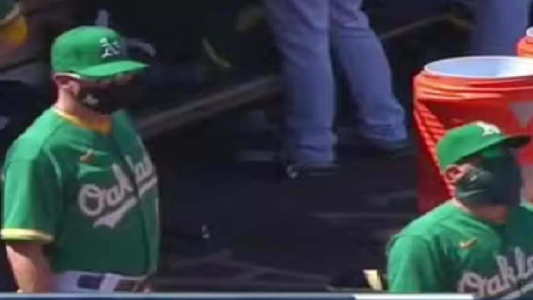 KPIX CBS SF Bay Area / Trener w MLB