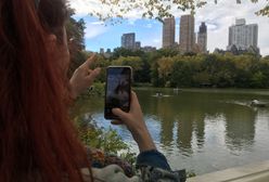 Brudny sekret. Tego nie zobaczysz na filmach o mieście marzeń