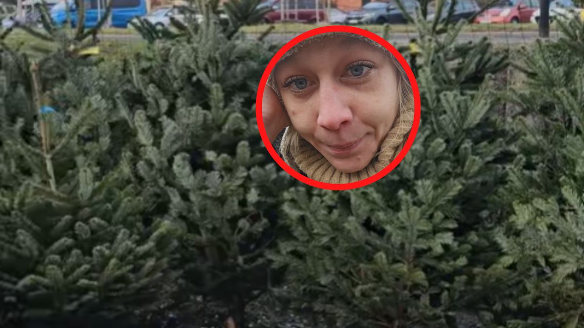 Sprzedaje choinki. Ujawniła opłaty.