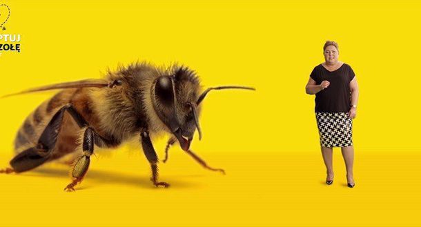 Dorota Wellman ambasadorką akcji „Adoptuj pszczołę”