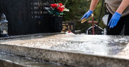 Idą "złote żniwa". Najdrożej jest w Łodzi i Kołobrzegu