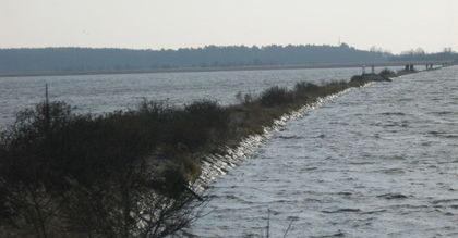 Przekop Mierzei Wiślanej. Polska wydobędzie tony bursztynu?
