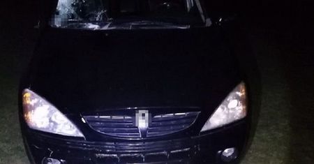 Policjanci puścili pijanego kierowcę. Wypił jeszcze więcej i potrącił dwie osoby