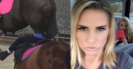 Katie Price wycina wzorki na... koniach! "Teraz są piękniejsze!"
