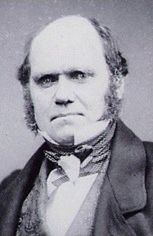 Karol Darwin w prywatnych listach. Premiera na stronie internetowej