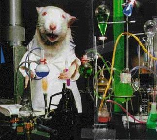 Elektronika dla szczurów, czyli ratCAP