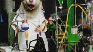 Elektronika dla szczurów, czyli ratCAP 1