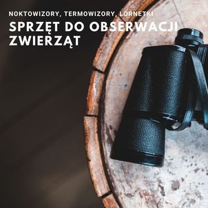 Noktowizory, termowizory, lornetki – sprzęt do obserwacji zwierząt – przewodnik