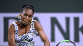 WTA Indian Wells: Venus Williams poszła za ciosem. Karolina Pliskova zakończyła występ Amandy Anisimovej