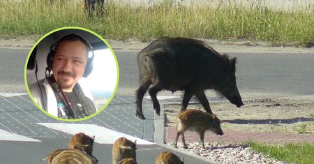 Spotkanie z dzikim zwierzęciem? Wyjaśniamy, jak trzeba się zachować