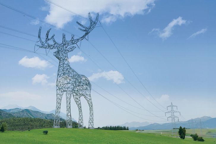 Zwierzęce kolosy ze słupów energetycznych. Za nimi pierwsze testy