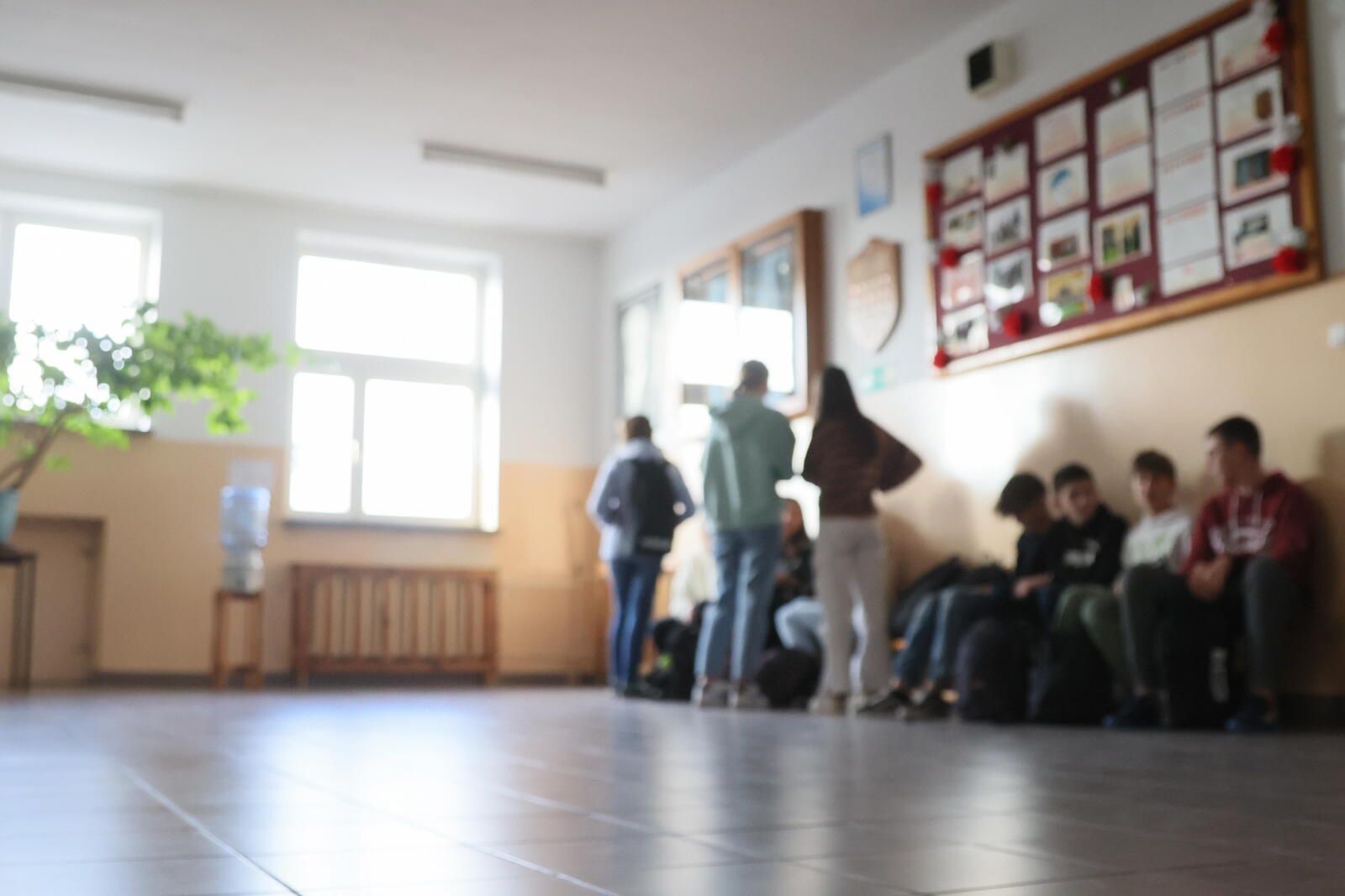 Niestabilność programowa - główny problem polskich szkół