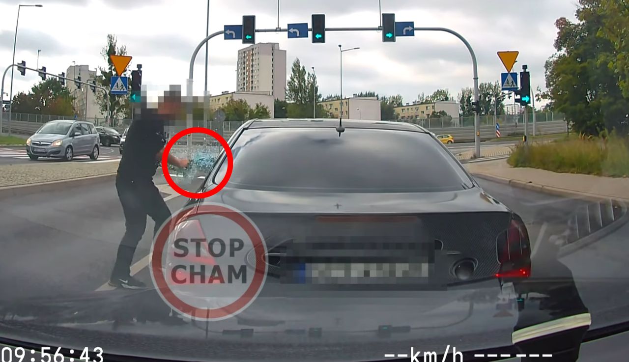 Nagle do niego wyskoczył. Szyba runęła na drogę. Szokujące nagranie