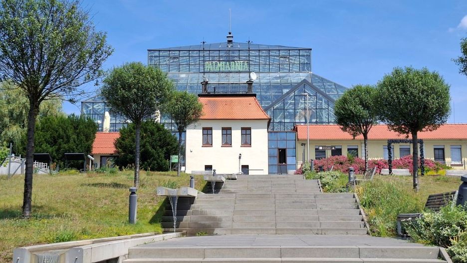 Egzotyczny świat pod kopułą. Zielonogórska palmiarnia to jedna z największych atrakcji miasta. Jej historia jest długa i fascynująca