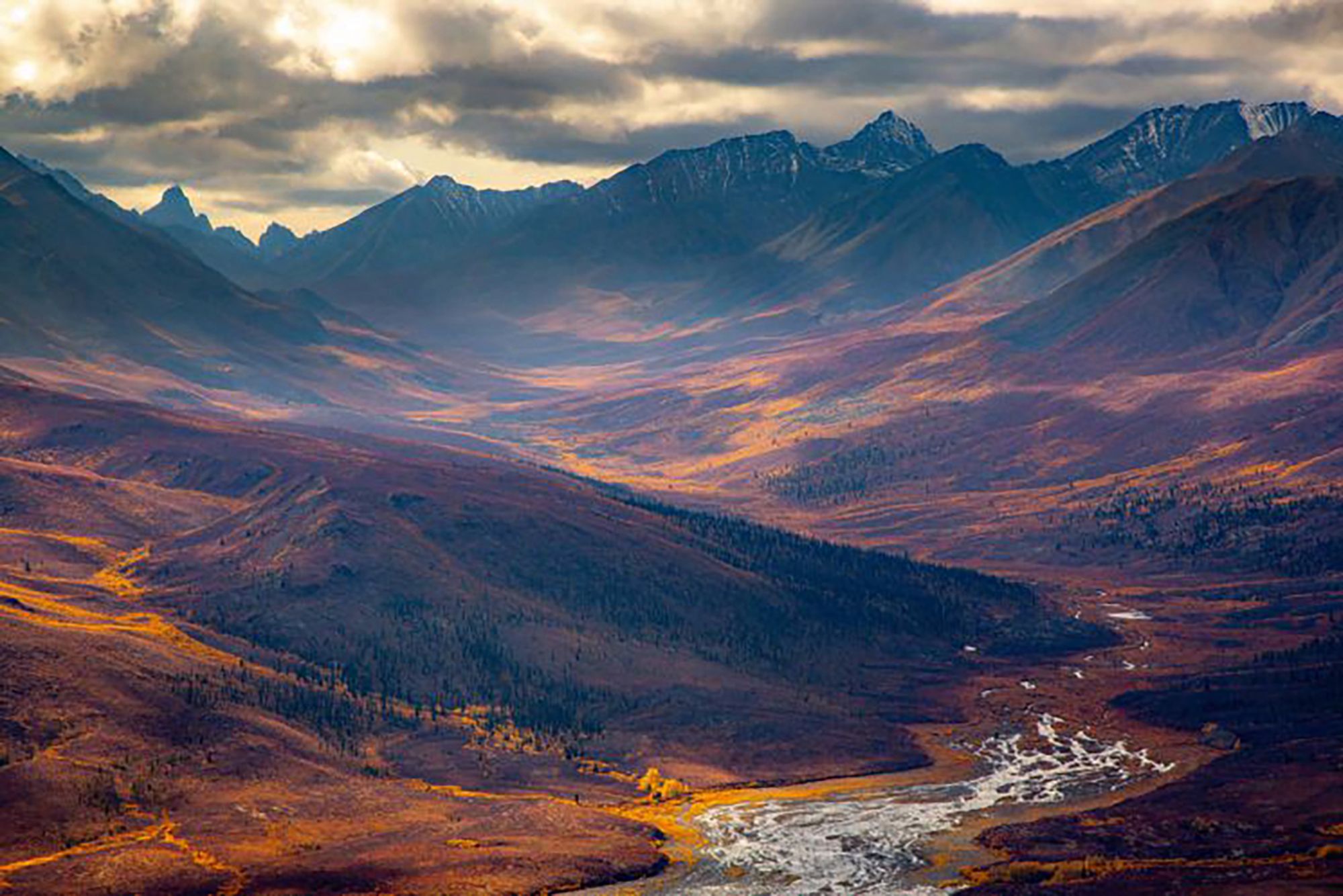 Najpiękniejsze zdjęcia przyrody w konkursie GDT Nature Photographer of the Year 13