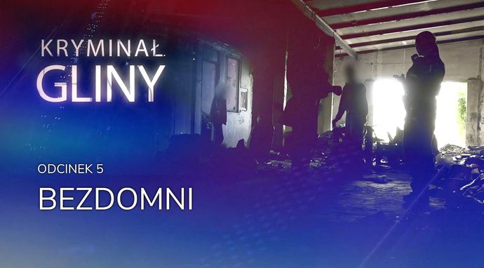 Kryminał: Gliny