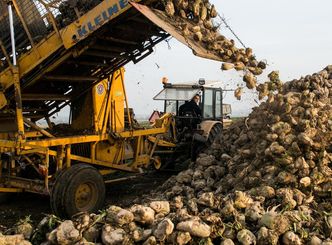 Wydatki na rozwój wsi do 2020 r. wyniosą 5,2 mld euro