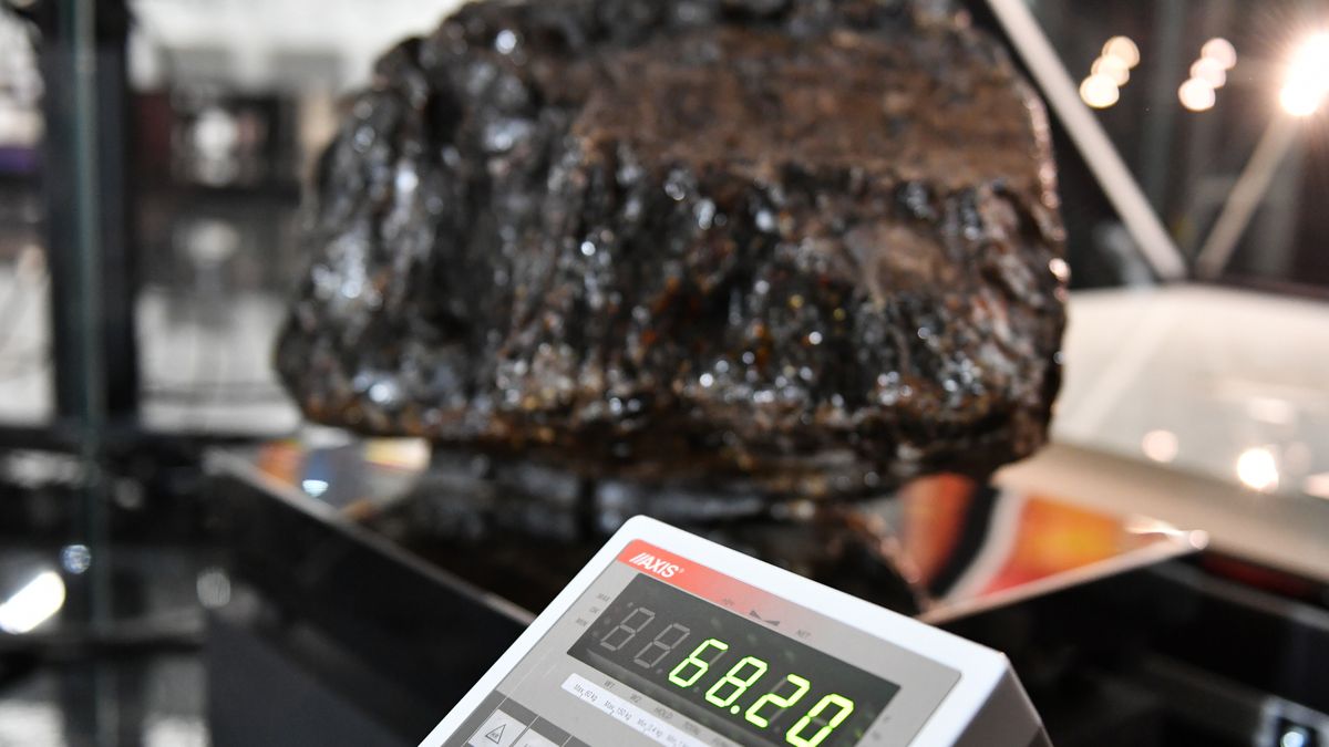 Największy bursztyn świata 