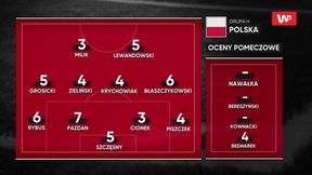 Mundial 2018. Polska - Senegal. Zobacz oceny dla naszych reprezentantów. Majdan wskazał największy mankament