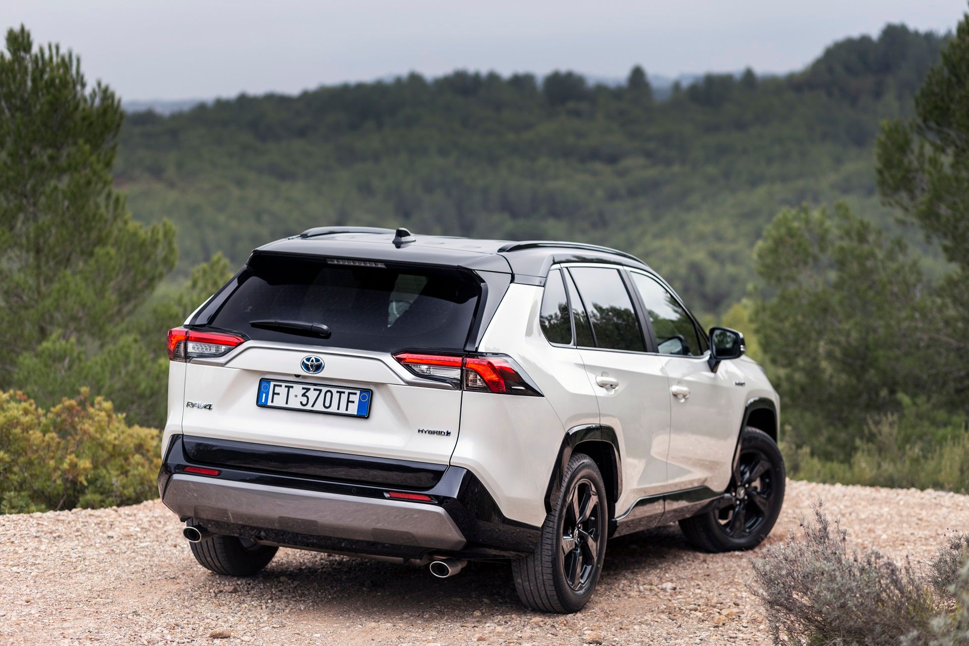 Toyota RAV4 Hybrid (2019) (fot. Mateusz Żuchowski