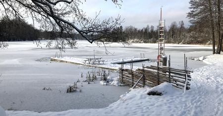 Lubisz morsować? Może się okazać, że robisz to nielegalnie
