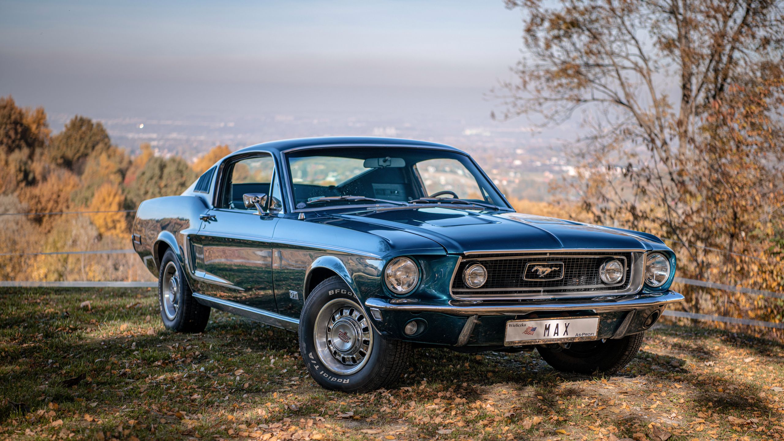 Ford Mustang jest najdłużej nieprzerwanie produkowanym amerykańskim autem. Choć Corvette ma co prawda dłuższą historię, to w 1983 r., w przerwie generacyjnej wypuszczono jedynie serię przeznaczoną do testów, którą potem zniszczono