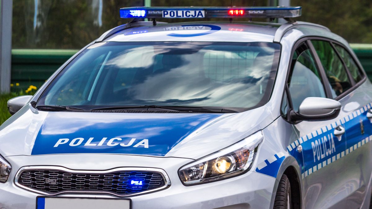 policja
