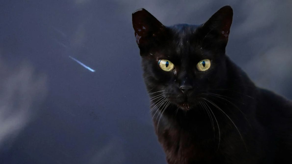 Przesądy i zabobony.