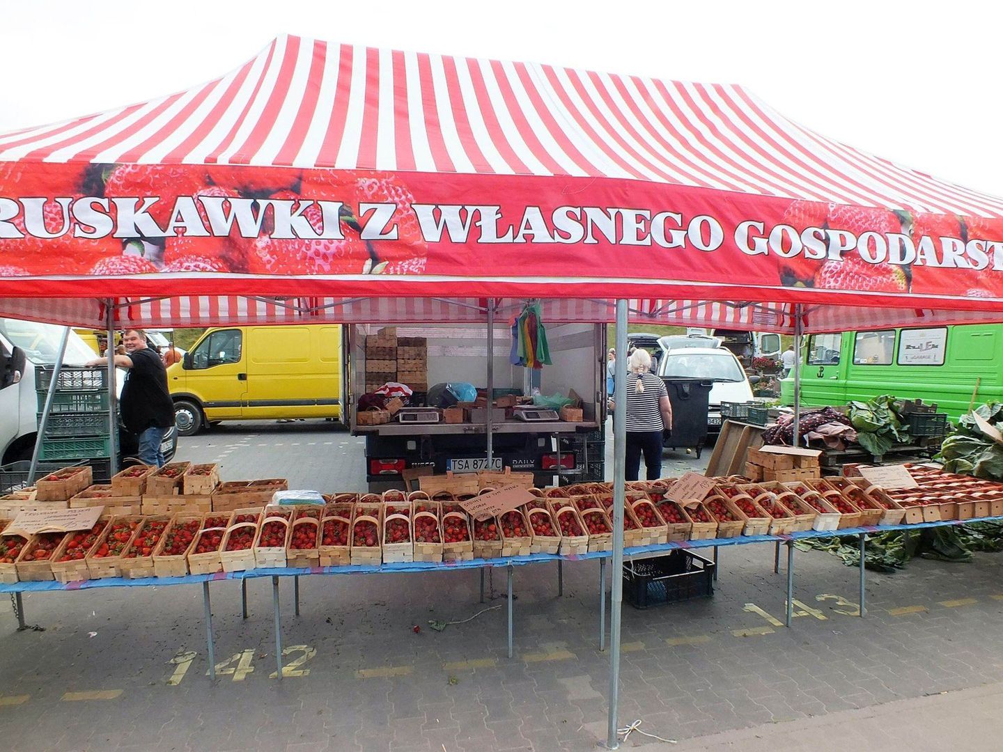 Plantator truskawek spod Zawichostu przywiózł na targ taką ofertę