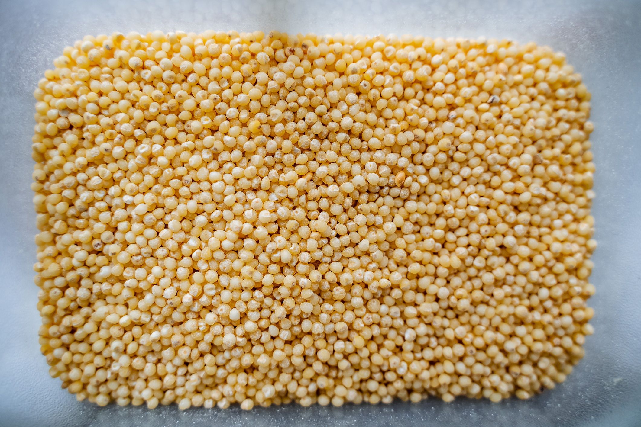 Millet close-up. Wine on top of cereals. Millet porridge of yellow color.
Millet close-up. Wine on top of cereals. Millet porridge of yellow color. High quality photo
Aleksey Matrenin
white, isolated, health, top, vegetarian, view, crop, harvest, lot, hulled, proso
