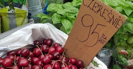 Drożyzna na straganie. Takiej ceny czereśni jeszcze nie widziałeś