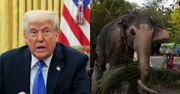 Donald Trump znowu zszokował. Ucierpią zwierzęta?